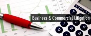 Business Commercial Litigation