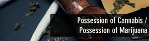Possession of Cannabis Marijuana in Florida - Less than 20 Grams